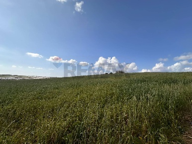 Foto Terreno agricolo in Contrada Cozzo Grillo, Pachino di 29740 m²