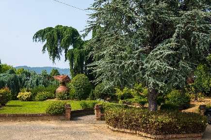 Foto Hotel in Strada Chieri, Pecetto Torinese di 2600 m² con 20 locali