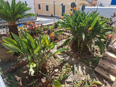 Foto Villa unifamiliare in VIA BARBICINTI 20, Ragusa di 170 m² con 6 locali