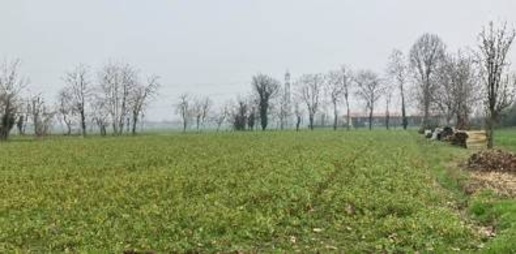 Foto Terreno agricolo in località Roggia, Inzago di 4280 m² in vendita