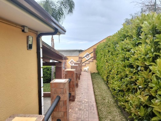 immagine annuncio 7 di 14