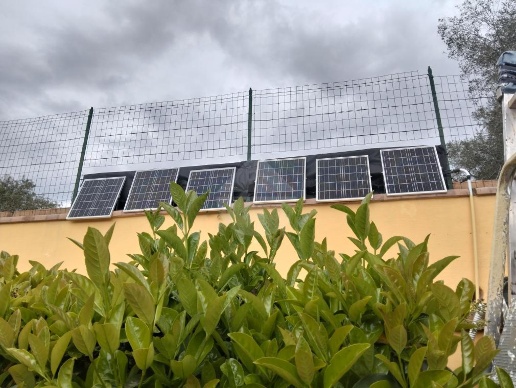 immagine annuncio 13 di 14