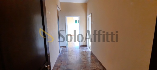 Foto Appartamento a Medolla Centro di 103 m² con 5 locali in affitto