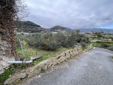 Foto Terreno agricolo a Taggia Centro di 765 m² in vendita