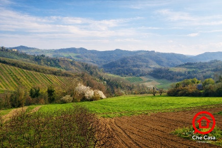 Foto Terreno agricolo in Via Gazzolina, Roncofreddo di 150 m² in vendita