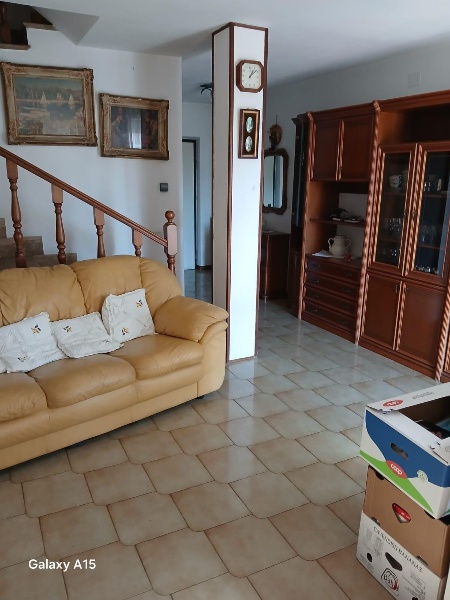 immagine annuncio 1 di 14