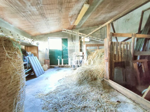 immagine annuncio 11 di 14