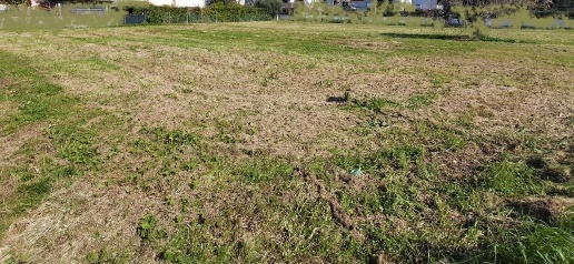 Foto Terreno residenziale a San Giuliano Terme San Giuliano Terme Paese