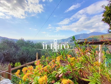 Foto Casale a Calci di 352 m² con 14 locali in vendita