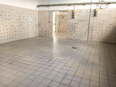 Foto Laboratorio a San Giuliano Terme Colignola, Campo di 200 m² in affitto