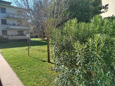 Foto Appartamento a Pisa San Francesco di 130 m² con 6 locali in vendita