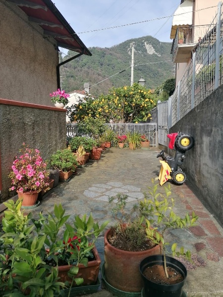 immagine annuncio 5 di 15