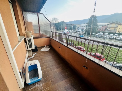 immagine annuncio 4 di 7