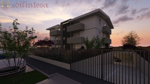 immagine annuncio 5 di 6