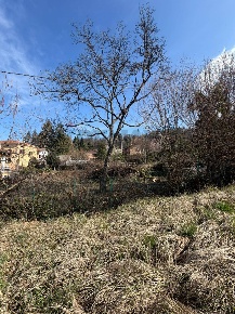 Foto Terreno residenziale in via Pineta, Montegrino Valtravaglia Centro
