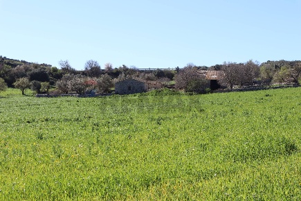 Foto Terreno agricolo in c.da.Picciona/Nucifora, Ragusa in vendita