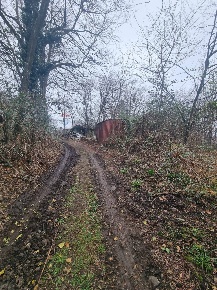 Foto Terreno agricolo in Piscio' 16, Germignaga di 23710 m² in vendita