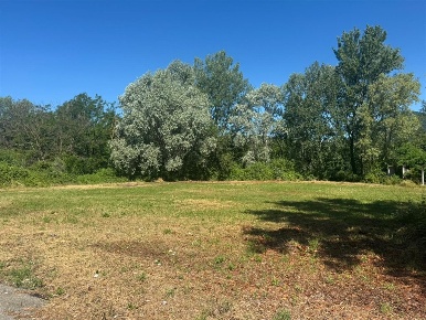Foto Terreno commerciale in Sp1, Gemonio di 4500 m² in vendita