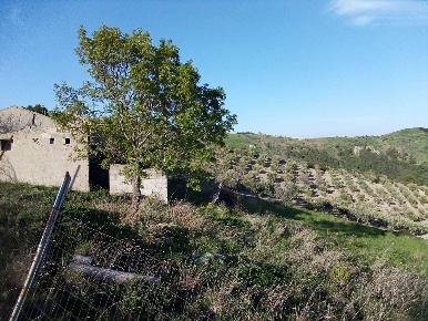Foto Rustico in SS 147, Montegiordano Centro di 90 m² con 4 locali