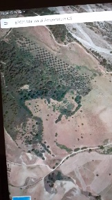 Foto Terreno agricolo in carraro, Amendolara in vendita