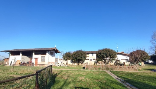 immagine annuncio 4 di 14