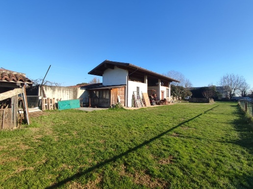 immagine annuncio 5 di 14