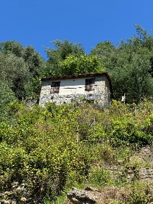 Foto Rustico in Regione Ortai, Badalucco Centro di 70 m² con 2 locali