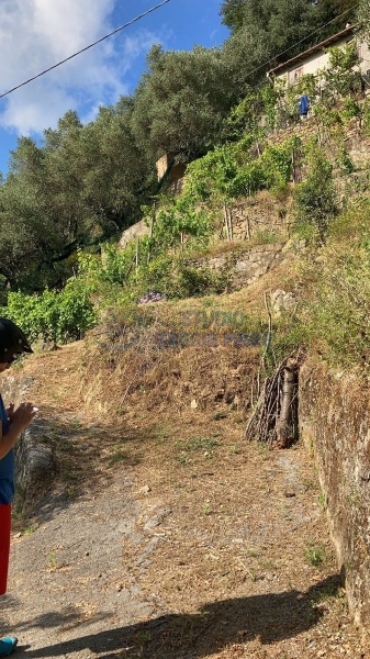 immagine annuncio 2 di 14