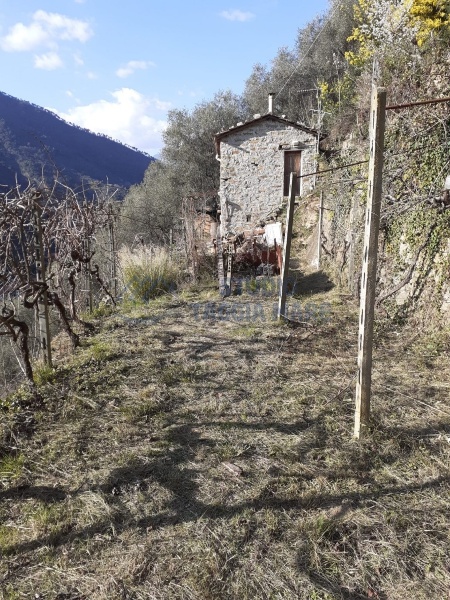 immagine annuncio 4 di 14