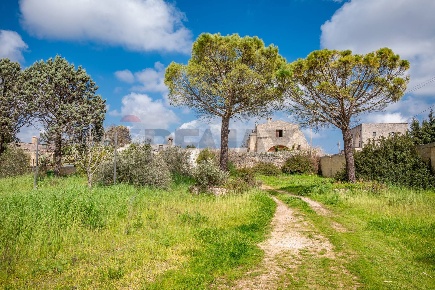 Foto Rustico in Via Macurano 134, Alessano Centro di 510 m² con 12 locali