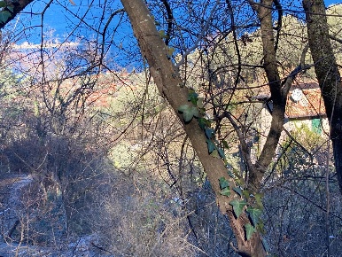 Foto Terreno agricolo a Brenzone sul Garda di 2126 m² in vendita
