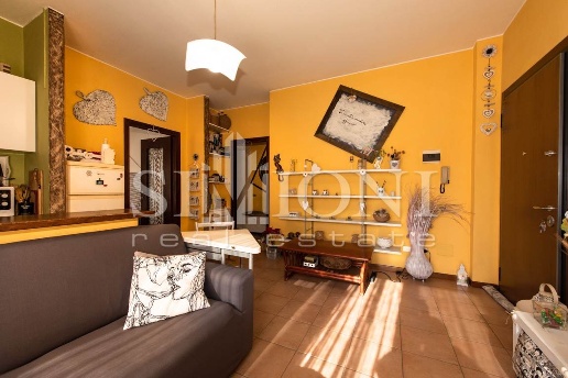 immagine annuncio 3 di 14