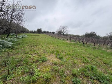 Foto Terreno agricolo in Via Europa, San Clemente di 2700 m² in vendita