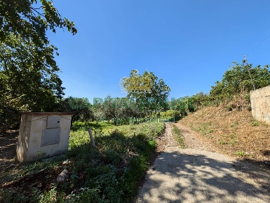 Foto Terreno agricolo in Contrada Fellino, Cicciano di 5468 m² in vendita
