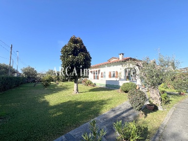 Foto Villa unifamiliare a Seravezza Ripa Pozzi Querceta Ponterosso