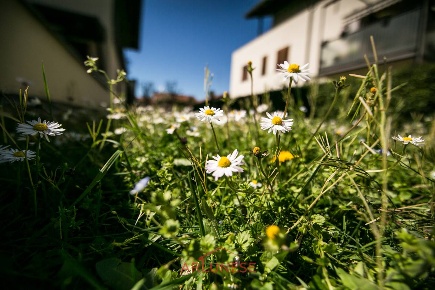 Foto Appartamento in Via Parabiago 13, Casorezzo di 85 m² con 3 locali
