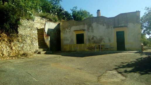 immagine annuncio 1 di 14