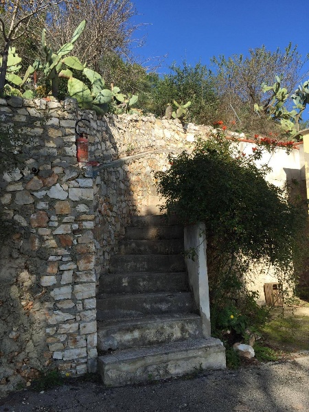 immagine annuncio 12 di 14