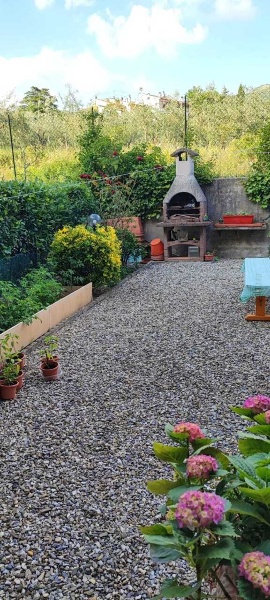 immagine annuncio 0 di 15