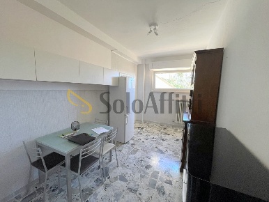 Foto Appartamento a Osimo Centro di 64 m² con 4 locali in affitto