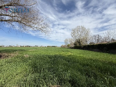 Foto Capannone industriale a Cesenatico di 5698 m² con 1 locali in vendita