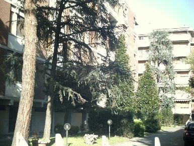 Foto Appartamento a Pisa Porta a Lucca di 14 m² con 4 locali in affitto