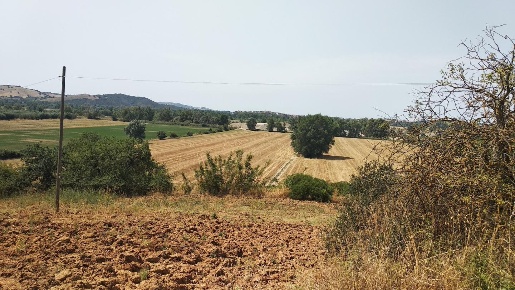 Foto Cessione attività a Grosseto di 200 m² con 10 locali in vendita