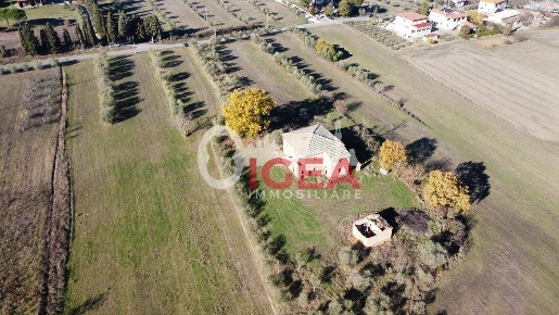 Foto Casale a Torrita di Siena di 510 m² con 20 locali in vendita