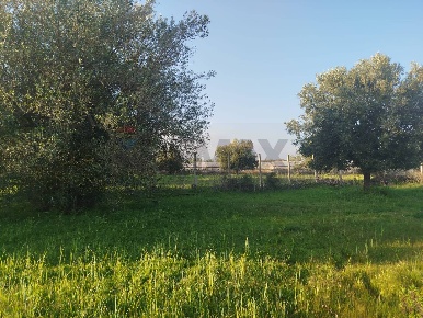 Foto Villa unifamiliare in Contrada Stafenna, Noto di 600 m² con 11 locali