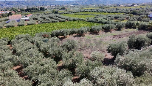 Foto Terreno residenziale a Miglianico di 2850 m² in vendita