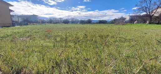 Foto Terreno residenziale in Viale Maiella 27, Mozzagrogna Villa Romagnoli