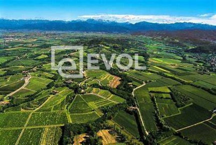 Foto Cessione attività in Piazza XXVII Maggio 11, Corno di Rosazzo