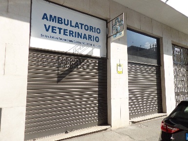 Foto Ufficio in Via Canova 41, Torino San Salvario - Dante di 80 m²
