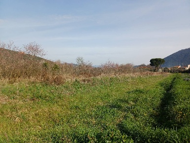 Foto Terreno agricolo in via giuseppe verdi -, Vecchiano Avane di 12600 m²